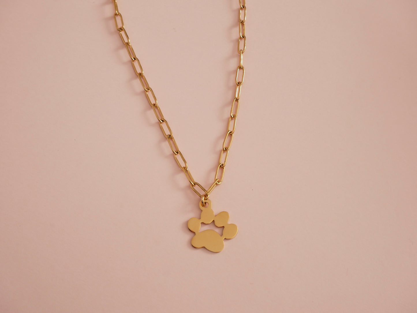 COLLAR MASCOTA (PERSONALIZABLE)