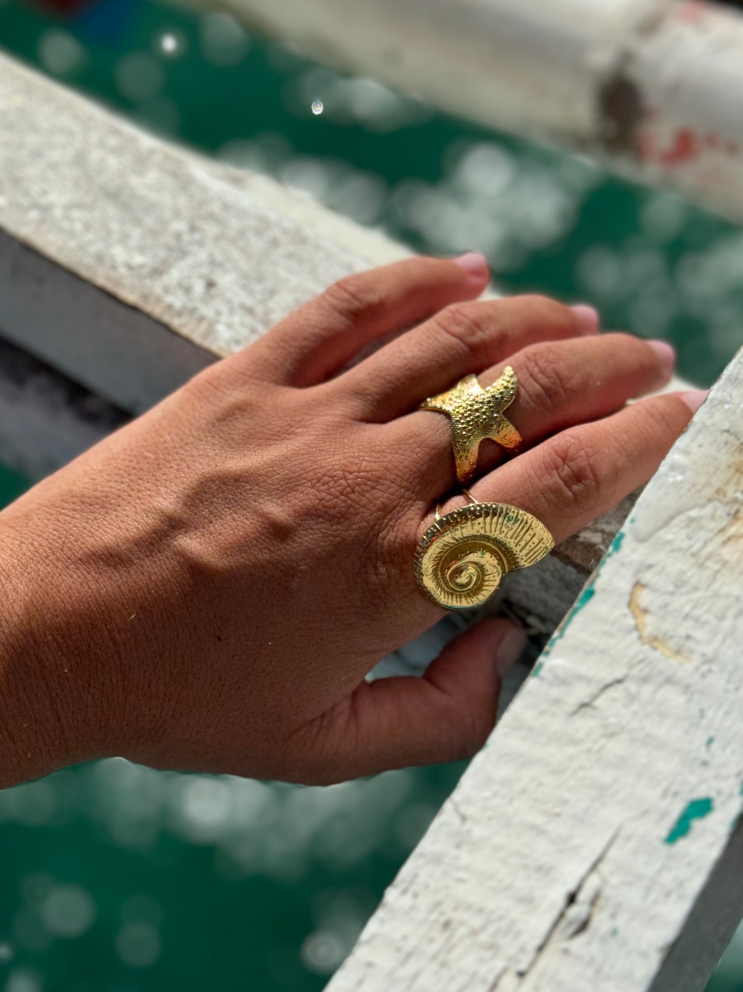 ANILLO CARACOLA