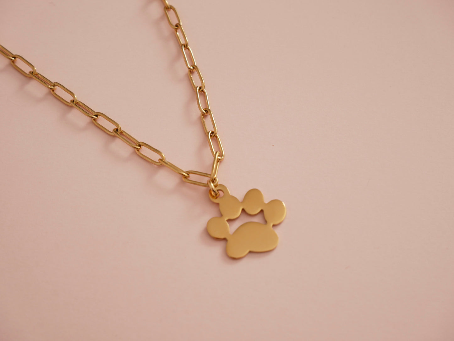 COLLAR MASCOTA (PERSONALIZABLE)
