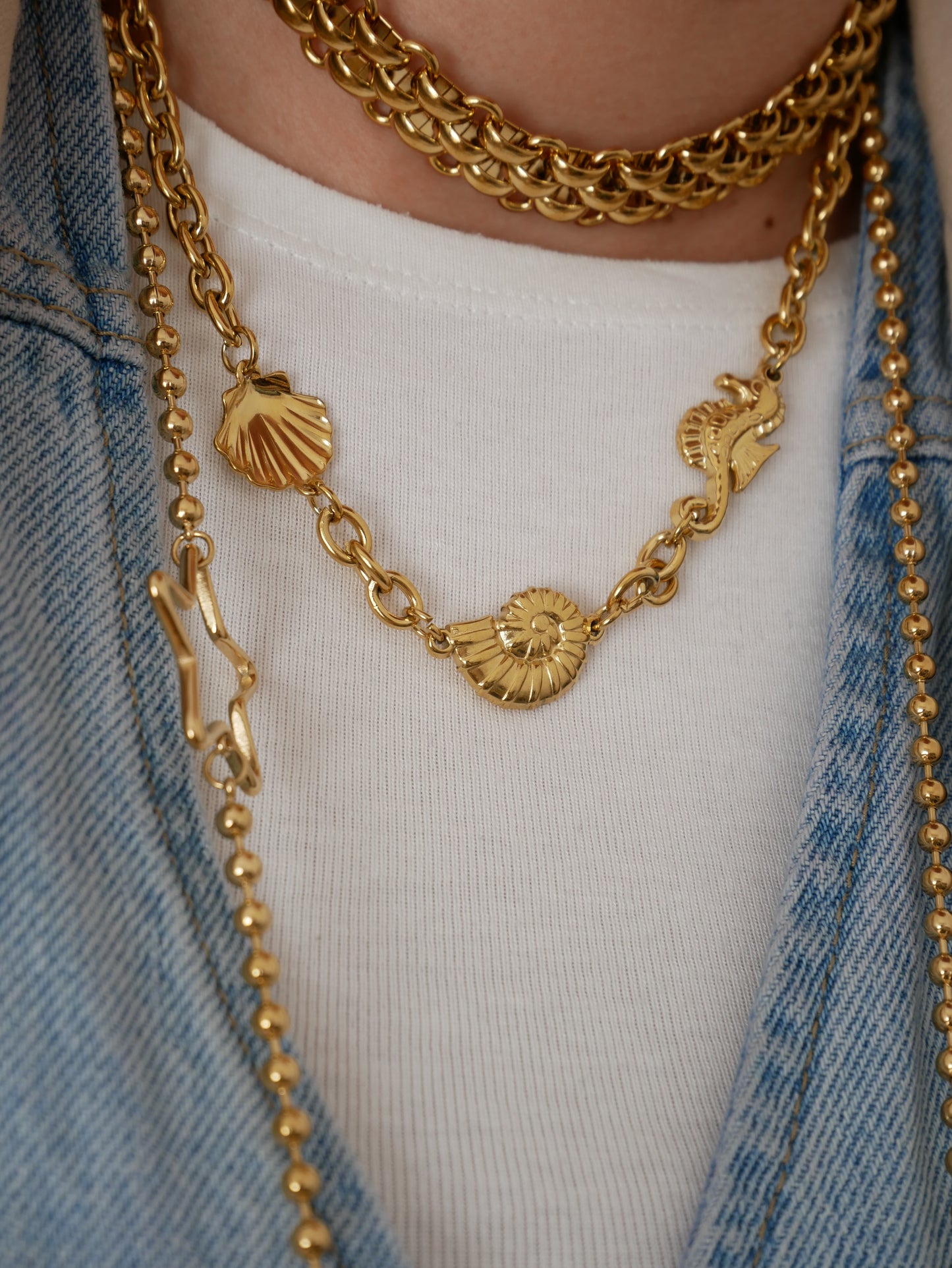 COLLAR VIDA MARINA