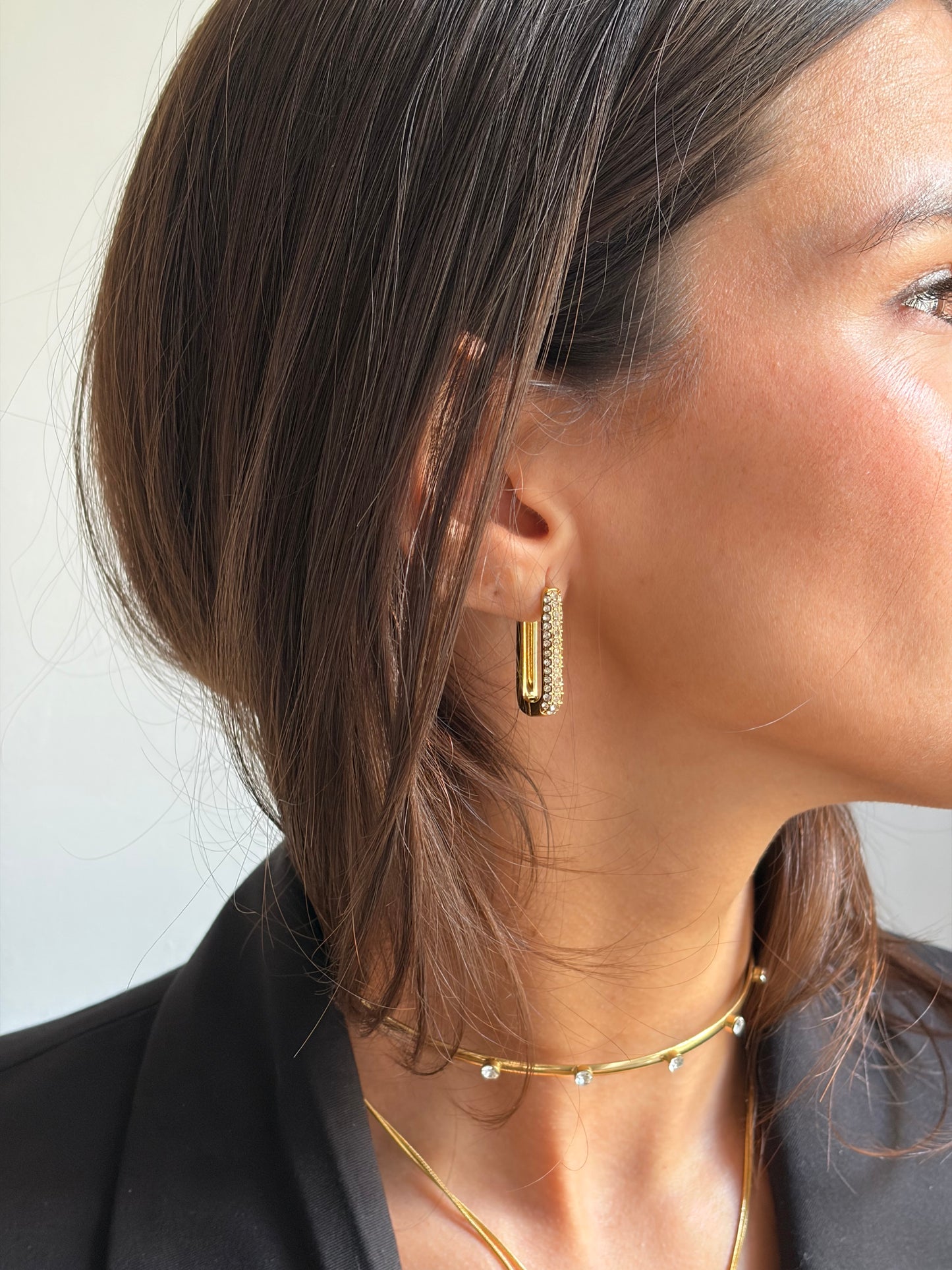 PENDIENTES BARRA CIRCONITAS (par)