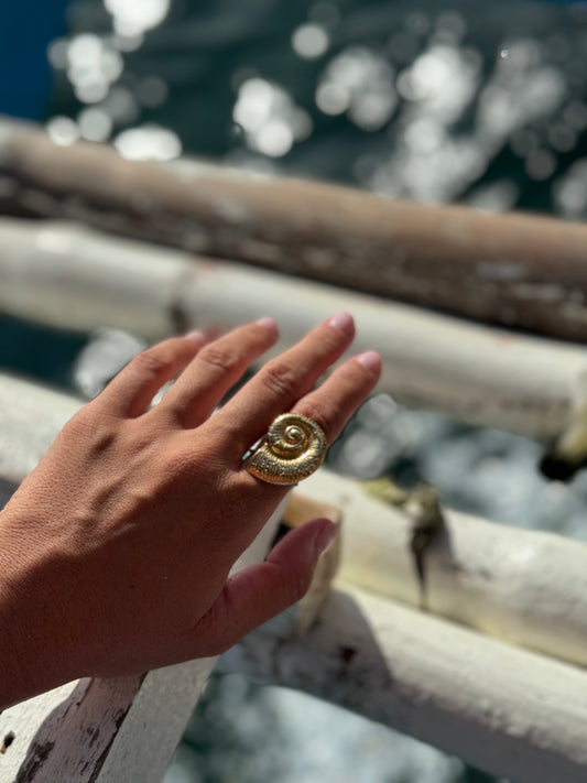 ANILLO CARACOLA