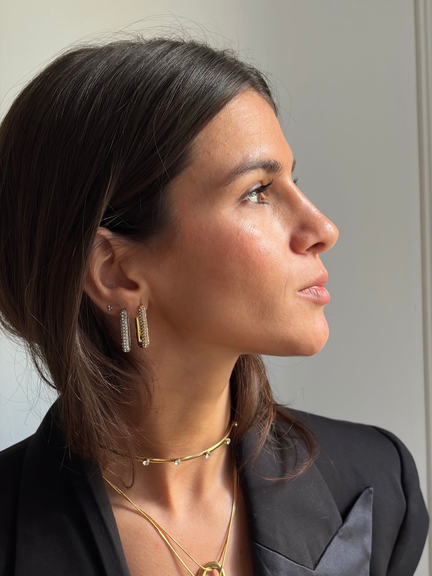 PENDIENTES BARRA CIRCONITAS (par)