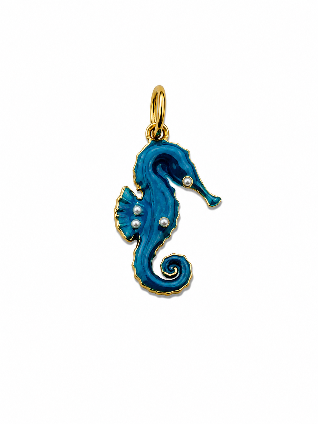 CHARM CABALLITO DE MAR