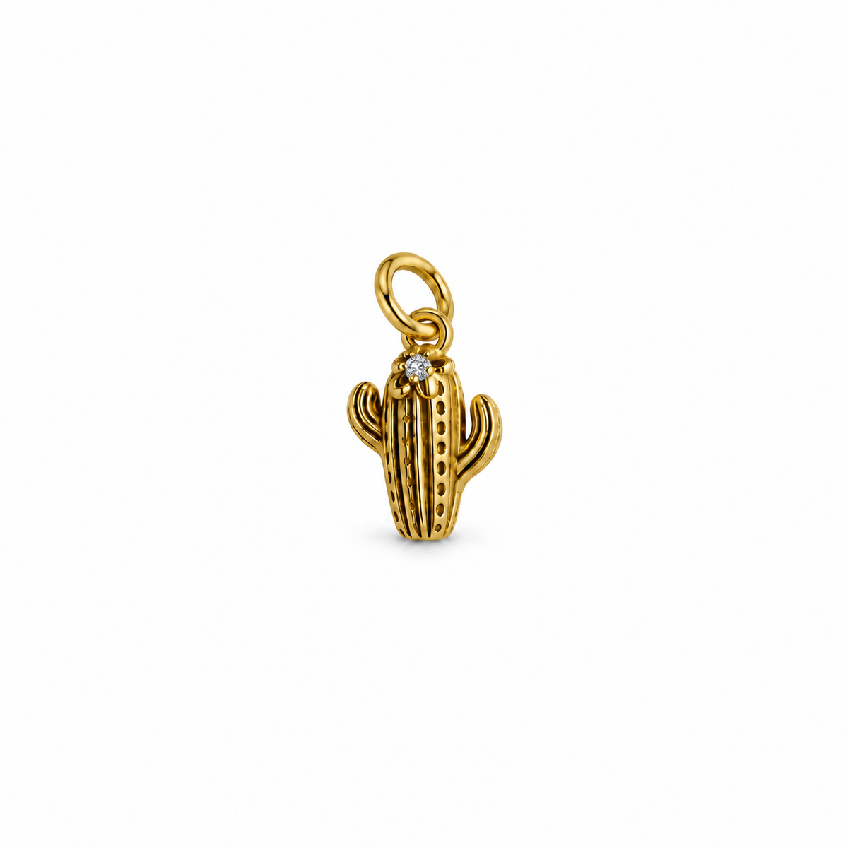Charm cactus de acero inoxidable dorado con brillo — Ayutthaya&me