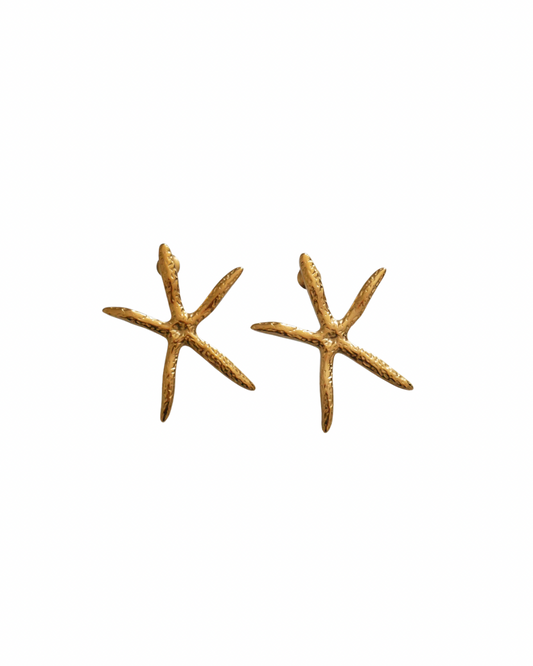 PENDIENTES ZAYA