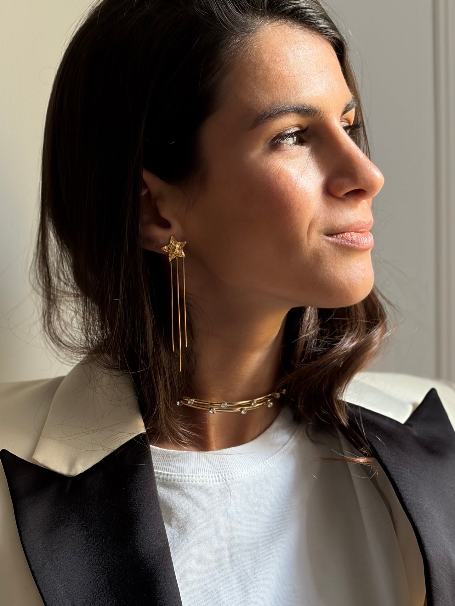 PENDIENTES ESTRELLA LARGOS (par)