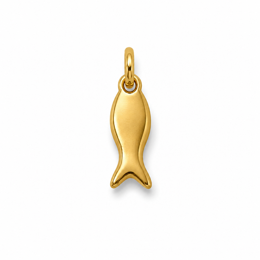 CHARM PEZ ACERO