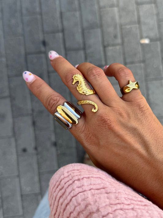 ANILLO DÚO