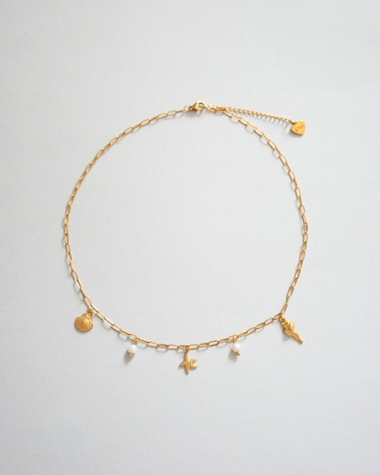 COLLAR CALYPSO