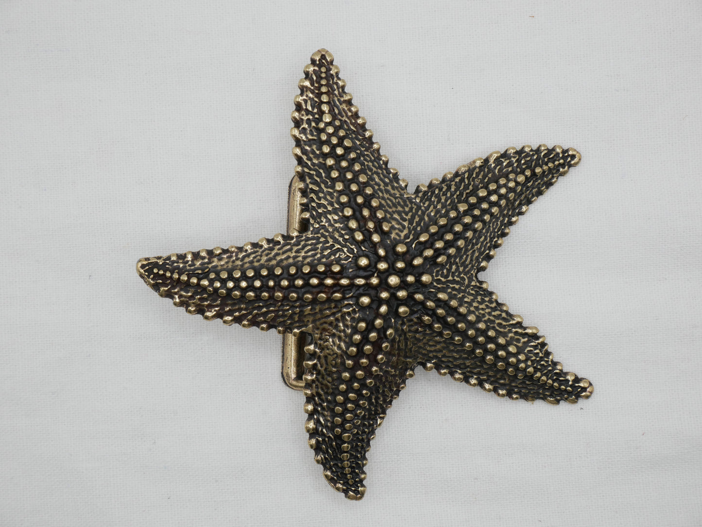 HEBILLA ESTRELLA DE MAR